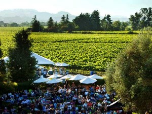 Rodney-summer-concerts_sonoma_county