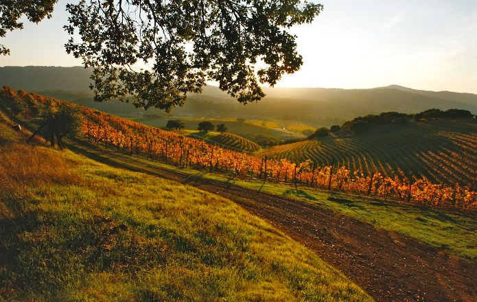Heart of Sonoma Valley, photo by Heart of Sonoma Valley Association