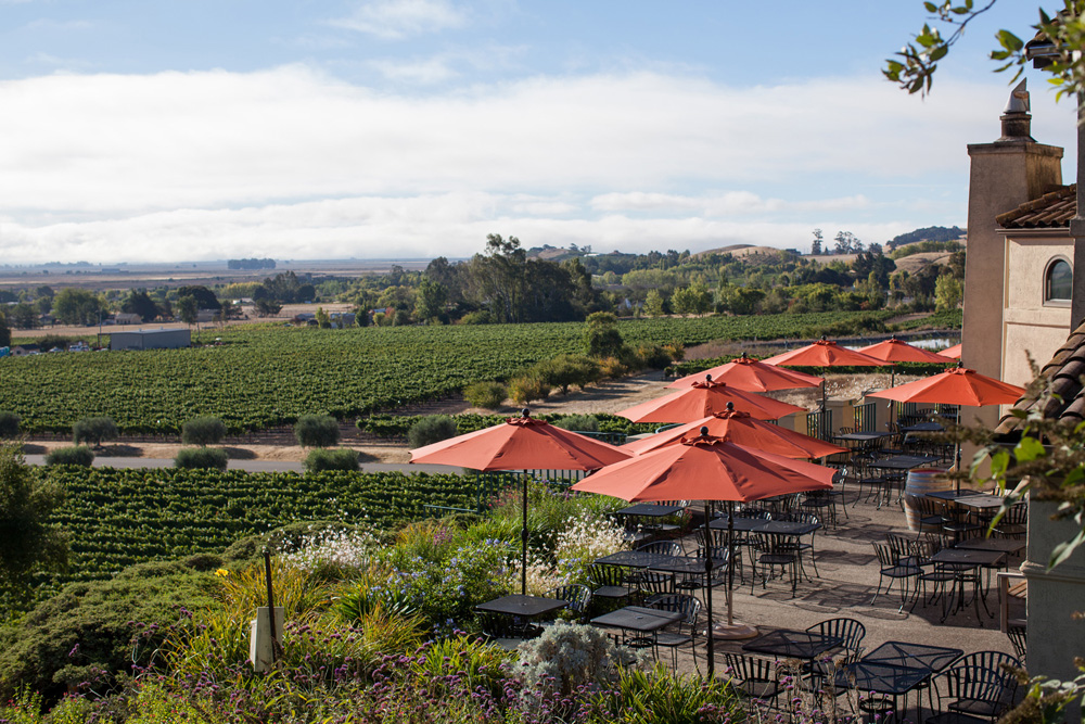 Sonoma Winery Events in January