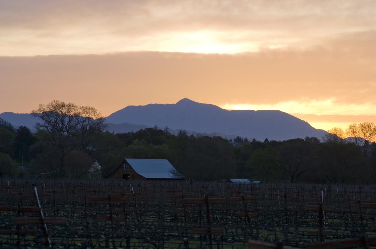 Quivira Vineyards & Winery, Sunset Facing Mt. St. Helena